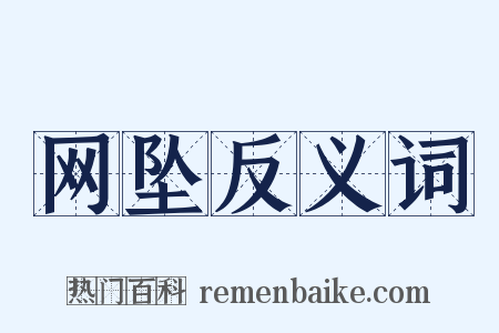 网坠反义词是什么意思的图片